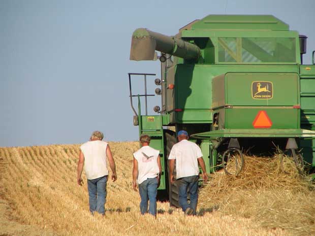 farmers: cage fighters fear them