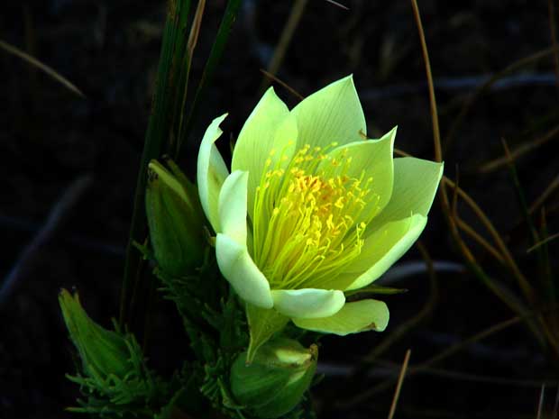 flowa along missouri river, wow that sucka glows huh?